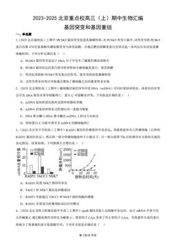 2023-2025北京重点校高三（上）期中生物汇编：基因突变和基因重组-答案