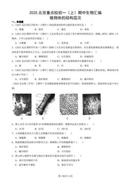 2025北京重点校初一（上）期中生物汇编：植物体的结构层次-答案