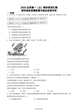 2025北京高一（上）期末政治汇编：使市场在资源配置中起决定性作用-答案