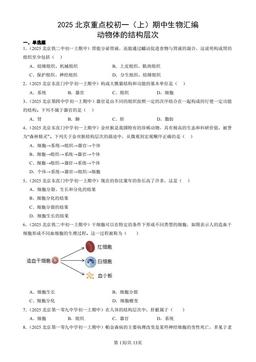 2025北京重点校初一（上）期中生物汇编：动物体的结构层次-答案