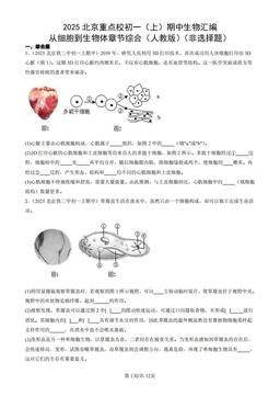 2025北京重点校初一（上）期中生物汇编：从细胞到生物体章节综合（人教版）（非选择题）-答案
