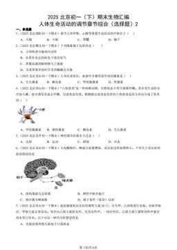 2025北京初一（下）期末生物汇编：人体生命活动的调节章节综合（选择题）2-答案
