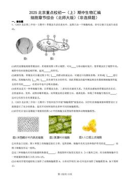 2025北京重点校初一（上）期中生物汇编：细胞章节综合（北师大版）（非选择题）-答案