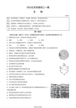 2023北京西城初二一模生物（教师版）-答案