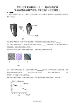 2025北京重点校初一（上）期中生物汇编：生物体的结构章节综合（京改版）（非选择题）-答案