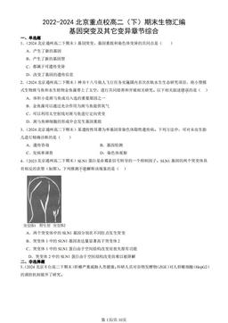 2022-2024北京重点校高二（下）期末生物汇编：基因突变及其它变异章节综合-答案