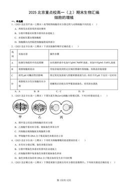 2025北京重点校高一（上）期末生物汇编：细胞的增殖-答案