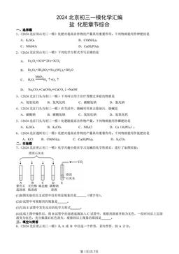 2024北京初三一模化学汇编：盐 化肥章节综合-答案