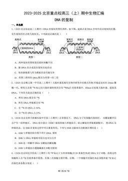 2023-2025北京重点校高三（上）期中生物汇编：DNA的复制-答案
