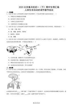 2023北京重点校初一（下）期中生物汇编：人体生命活动的调节章节综合-答案