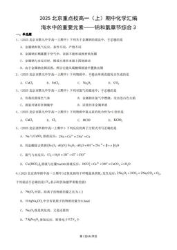 2025北京重点校高一（上）期中化学汇编：海水中的重要元素——钠和氯章节综合3-答案