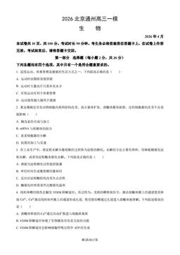 2026北京通州高三一模生物（教师版）-答案