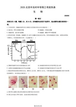 2025北京中关村中学高三考前热身生物（教师版）-答案