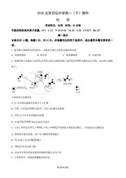 2026北京日坛中学高一（下）期中化学（教师版）-答案