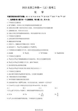 2023北京二中高一（上）段考二化学（教师版）-答案