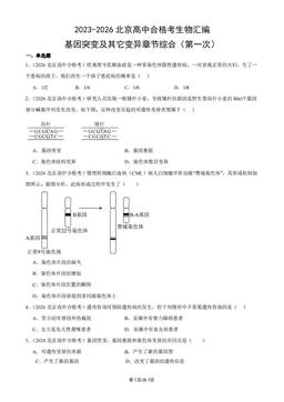 2023-2026北京高中合格考生物汇编：基因突变及其它变异章节综合（第一次）-答案