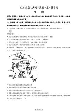 2025北京人大附中高三（上）开学考生物（教师版）-答案