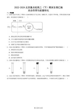2022-2024北京重点校高二（下）期末生物汇编：光合作用与能量转化-答案