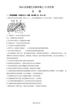 2024北京理工大附中高二12月月考生物（教师版）-答案