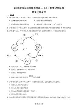 2023-2025北京重点校高三（上）期中化学汇编：氧化还原反应-答案