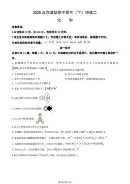2025北京清华附中高三（下）统练二化学（教师版）-答案