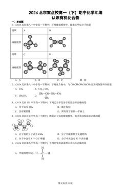 2024北京重点校高一（下）期中化学汇编：认识有机化合物-答案
