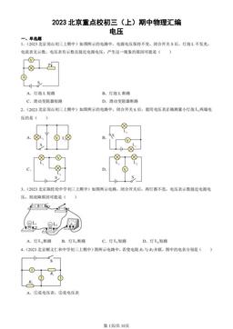 2023北京重点校初三（上）期中物理汇编：电压-答案