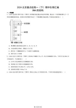 2024北京重点校高一（下）期中生物汇编：DNA的结构-答案