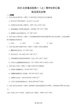 2025北京重点校高一（上）期中化学汇编：铁及其化合物-答案