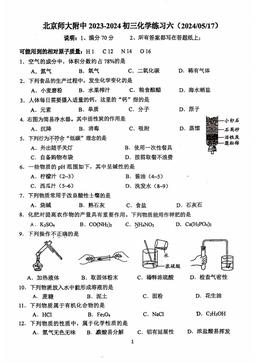 2024北京北师大附中初三（下）练习六化学-答案