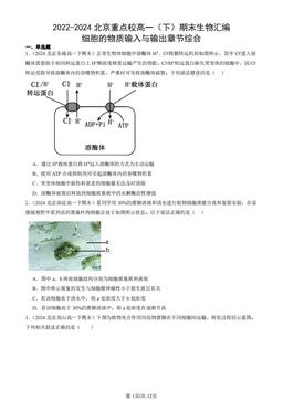 2022-2024北京重点校高一（下）期末生物汇编：细胞的物质输入与输出章节综合-答案