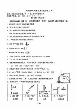 2026北京人大附中高三（下）练习九化学-答案