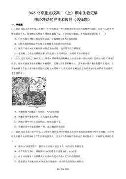 2025北京重点校高二（上）期中生物汇编：神经冲动的产生和传导（选择题）-答案