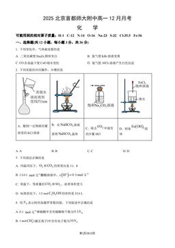 2025北京首都师大附中高一12月月考化学（教师版）-答案