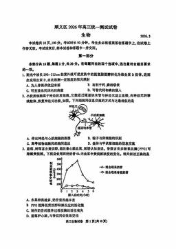 2026北京顺义高三一模生物-答案