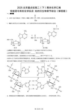 2025北京重点校高二（下）期末化学汇编：官能团与有机化学反应 烃的衍生物章节综合（解答题）-答案