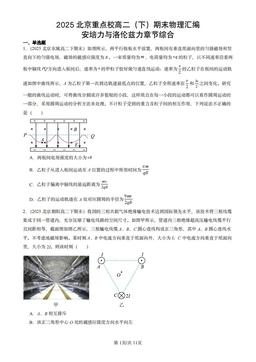 2025北京重点校高二（下）期末物理汇编：安培力与洛伦兹力章节综合-答案