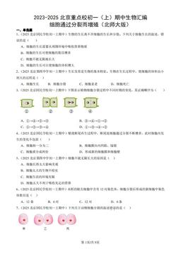 2023-2025北京重点校初一（上）期中生物汇编：细胞通过分裂而增殖（北师大版）-答案