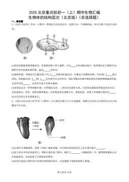 2025北京重点校初一（上）期中生物汇编：生物体的结构层次（北京版）（非选择题）-答案