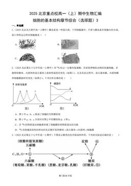 2025北京重点校高一（上）期中生物汇编：细胞的基本结构章节综合（选择题）3-答案
