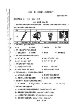 2025北京一零一中高一（上）统练三化学-答案