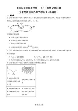 2025北京重点校高一（上）期中化学汇编：元素与物质世界章节综合4（鲁科版）-答案