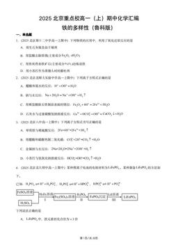 2025北京重点校高一（上）期中化学汇编：铁的多样性（鲁科版）-答案