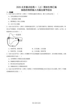 2025北京重点校高一（上）期末生物汇编：细胞的物质输入与输出章节综合-答案