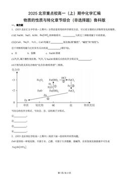 2025北京重点校高一（上）期中化学汇编：物质的性质与转化章节综合（非选择题）鲁科版-答案