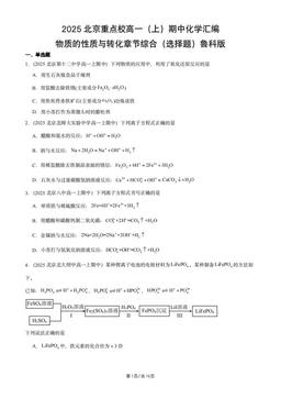 2025北京重点校高一（上）期中化学汇编：物质的性质与转化章节综合（选择题）鲁科版-答案
