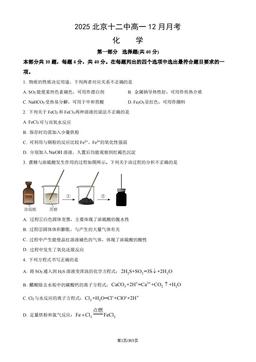 2025北京十二中高一12月月考化学（教师版）-答案