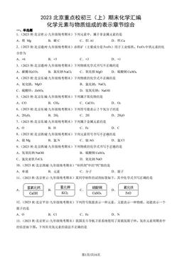 2023北京重点校初三（上）期末化学汇编：化学元素与物质组成的表示章节综合-答案