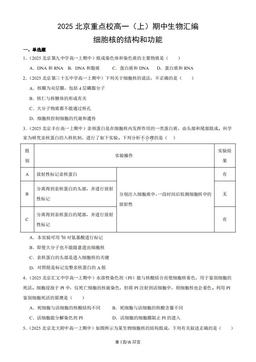 2025北京重点校高一（上）期中生物汇编：细胞核的结构和功能-答案