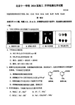 2023北京十一学校高三（上）开学考化学-试题